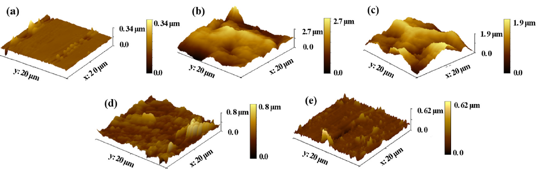 Atomic force microscopy (AFM) images of (a) polished Q235 steel (QS), (b) QS soaked in 0.5 M HCl, (c) QS soaked in 0.5 M HCl and 0.1 g/potassium iodide (KI), (d) QS soaked in 0.5 M HCl and 0.8 g/L OPE, and (e) QS soaked in 0.5 M HCl and 0.8 g/ L OPE, and 0.1 g/L KI.