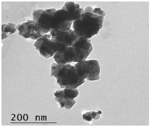 TEM image of AgNPs-doped ZnONPs.