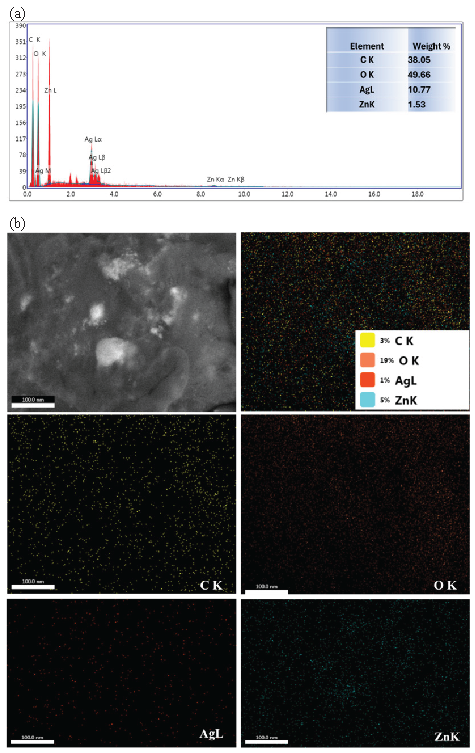 (a) EDX and (b) mapping SEM of AgNP-coated ZnONPs.