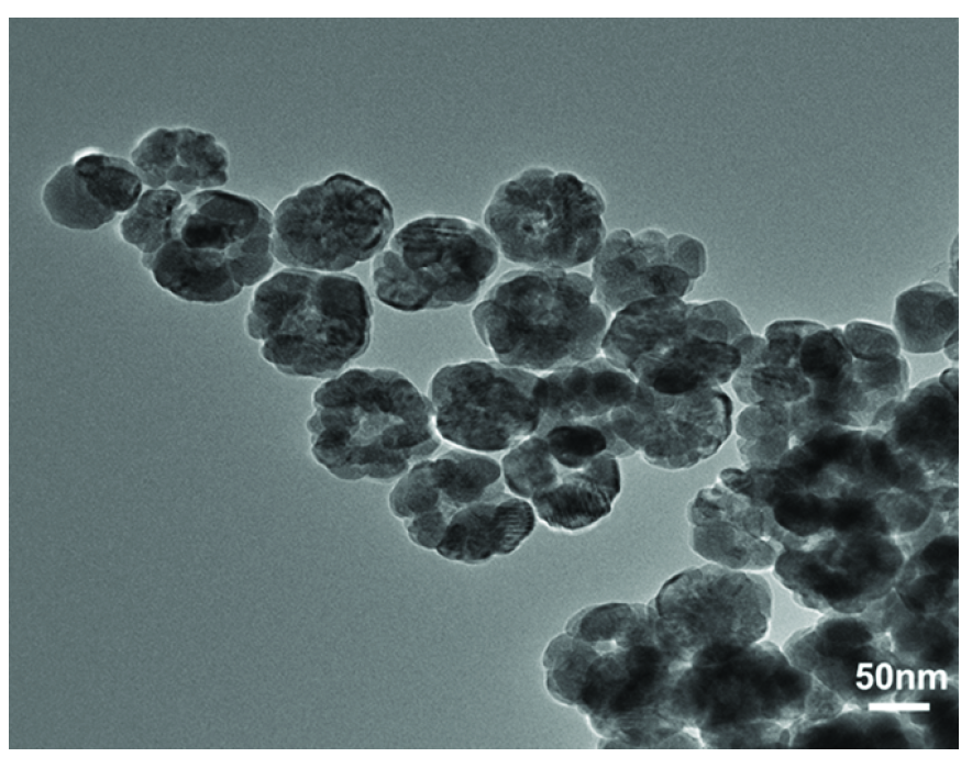 Magnetic bead transmission electron microscope.