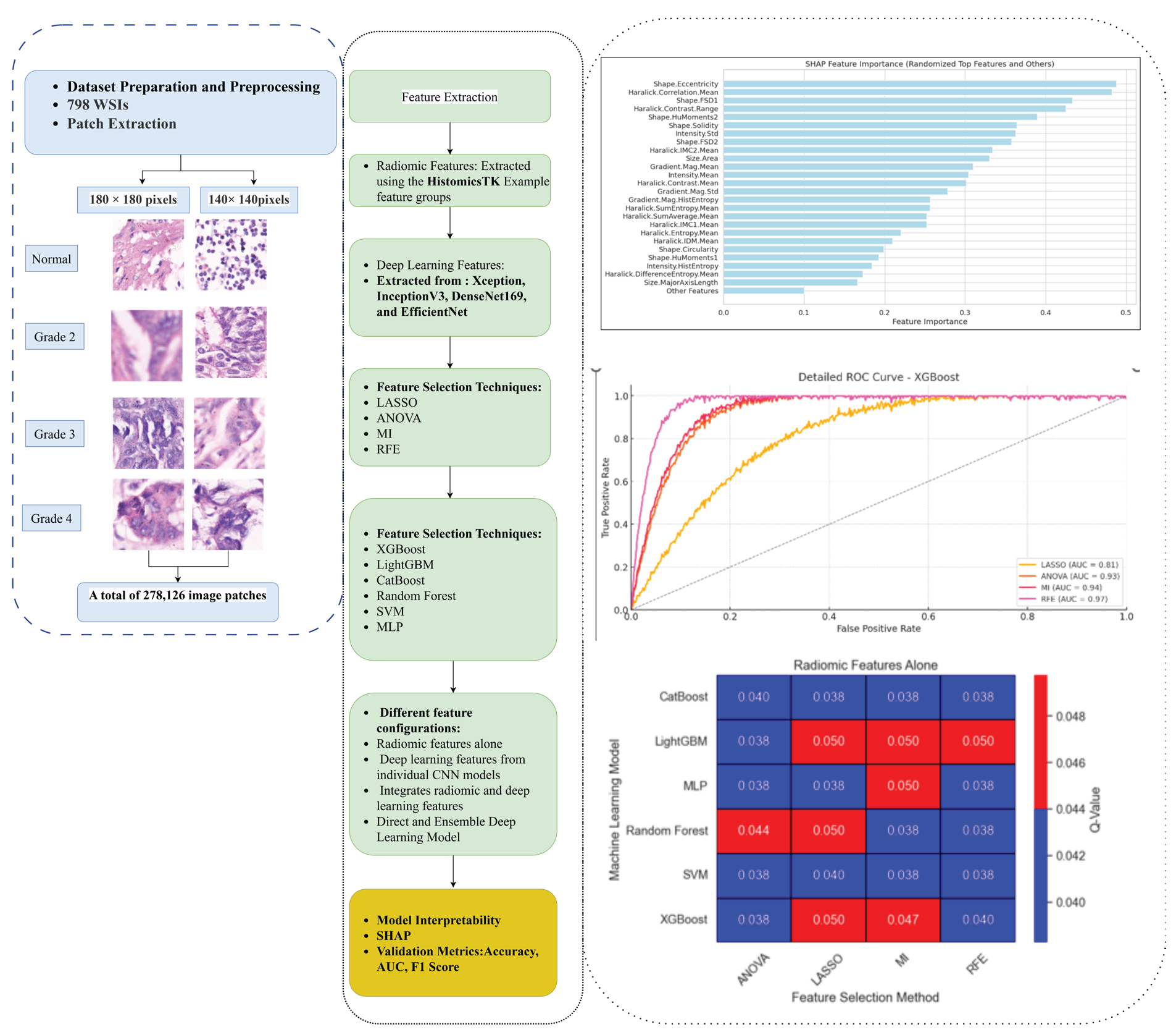 Step-by-step workflow. WSI: Whole-slide image, LASSO: Least absolute shrinkage and selection operator, ANOVA: Analysis of variance, MI: Mutual information, RFE: Recursive feature elimination, SHAP: SHapley Additive exPlanations, CNN: convolutional neural networks, AUC: Area under the curve.