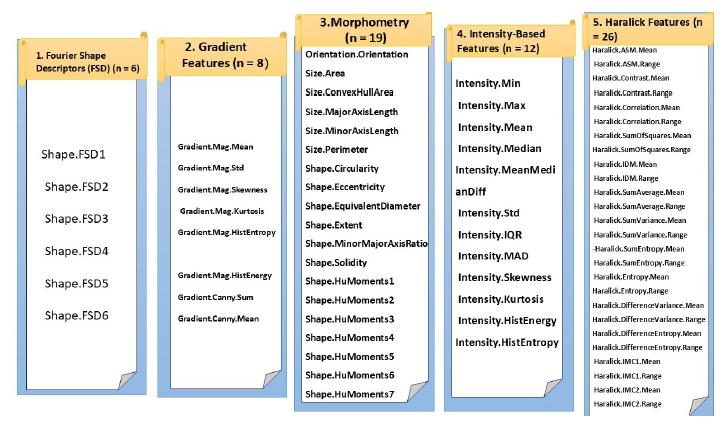 Selected pathomics features.