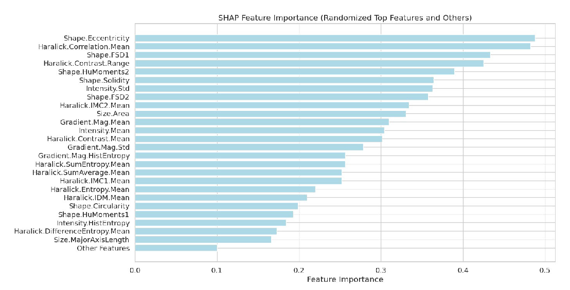 SHAP-based feature importance analysis for enhanced model interpretability. SHAP: SHapley Additive exPlanations.