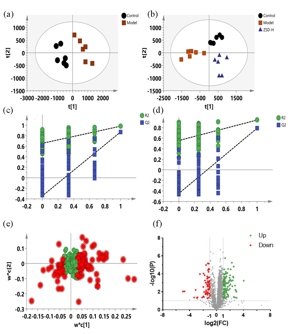 PLS-DA score plots (a-b), permutation test plots (c-d), PLS-DA loading plots (e), and volcano plots (f) for the control, model, and ZSD-H groups based on the data from negative ion mode.