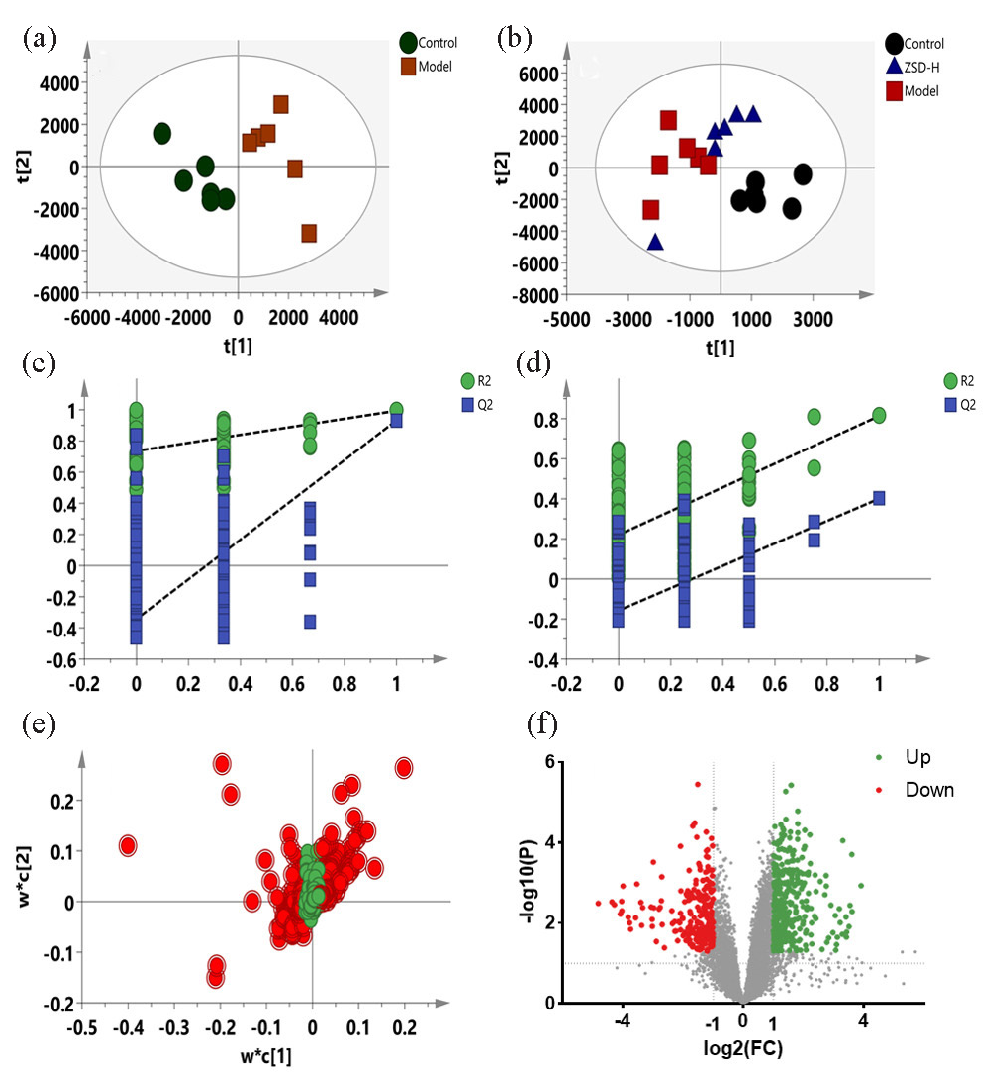 PLS-DA score plots (a-b), permutation test plots (c-d), PLS-DA loading plots (e), and volcano plots (f) for the control, model, and ZSD-H groups based on the data from positive ion mode.