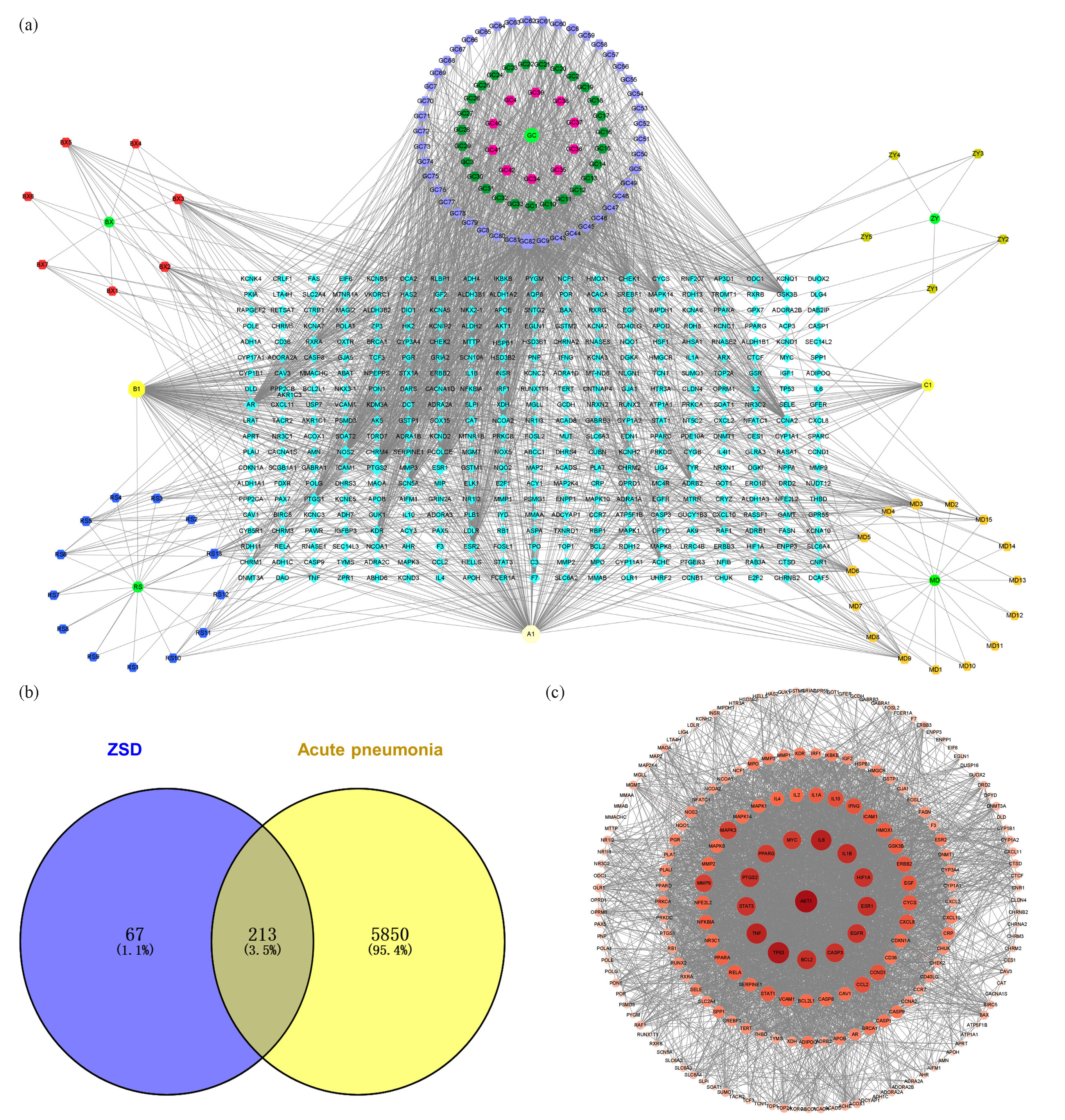 (a) The CMM-active ingredient-target (CMM-AI-T) network, CMM (•), active ingredient (⬣), target (⬥), common ingredients of CMMs (⬢). (b) The Venn diagram overlap highlighted the potential target of ZSD for treating acute pneumonia. (c) The PPI network was constructed using the selected potential targets.