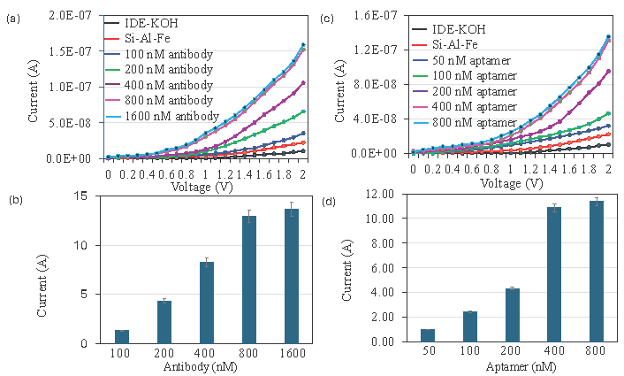 Comparison of aptamer and antibody attachment on dielectrode points sensor. (a) Current-volt graph of different concentration of antibody attachment on dielectrode points sensor and shows a clear increment of current after introducing each antibody. (b) Current response of antibody attachment on dielectrode points sensor. With increasing the concentration of antibodies, current response also increased and saturated at 800 nM (c) Current-volt graph of different concentrations of antibody attachment on dielectrode points sensor and shows a clear increment of current after introducing aptamer. (d) Current response of aptamer attachment on dielectrode points sensor. With increasing concentrations of antibodies, current responses also increased and saturated at 400 nM. Data was averaged by averaging three independent measurements using the sensing surfaces prepared from the same batch of fabrication.