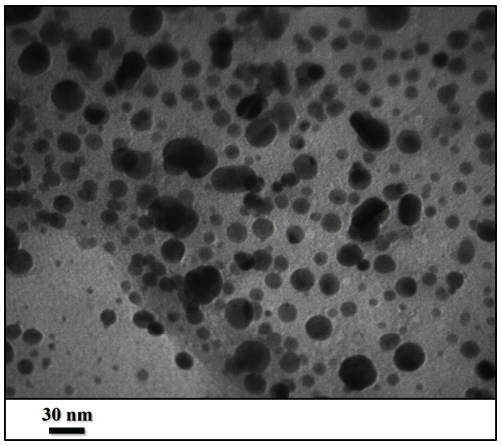 TEM of the ST-LS/AuNPs (scales bar 150 and 60 nm.
