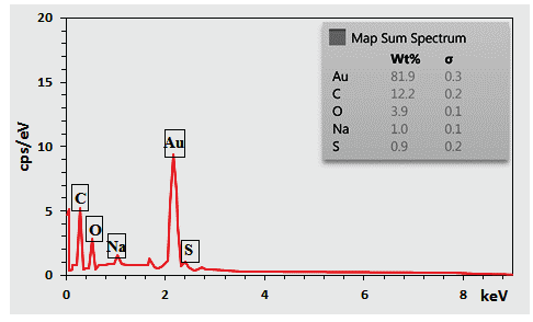 EDX of the ST-LS/Au NPs.