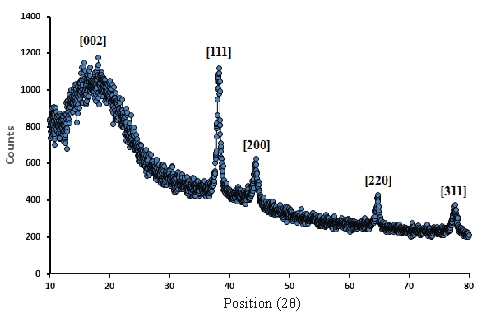 XRD pattern of the ST-LS/Au NPs.