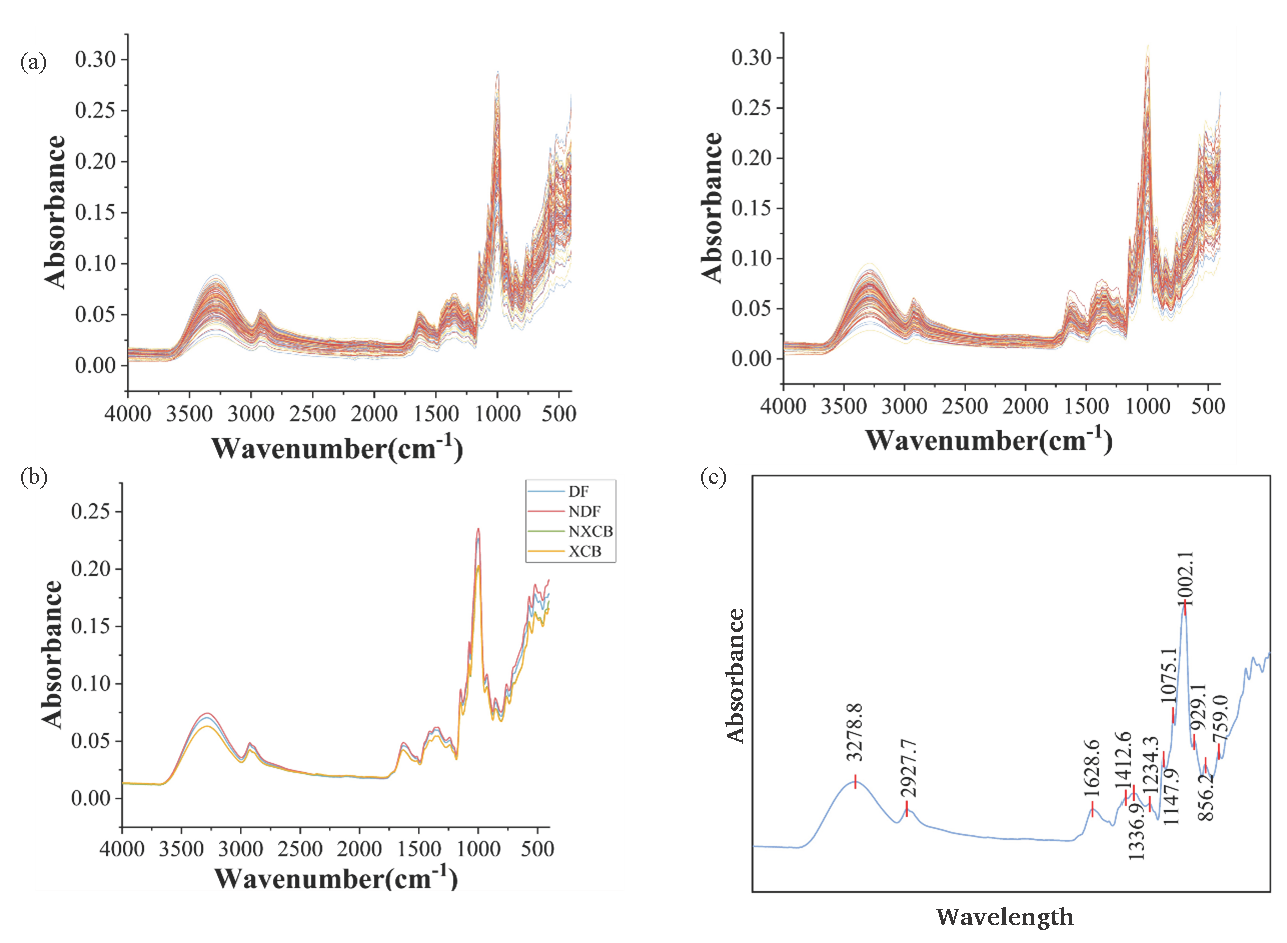 ATR-FTIR spectrum. (a) The original spectra (Left: Yunnan, Right: Guizhou). (b, c) Average spectrogram.