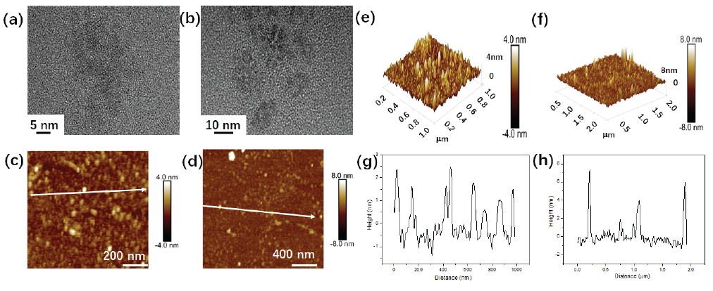 (a) TEM, (c,e) AFM and (g) height of N-CDs; (b) TEM, (d,f) AFM and (h) height of Cu-N-CDs.