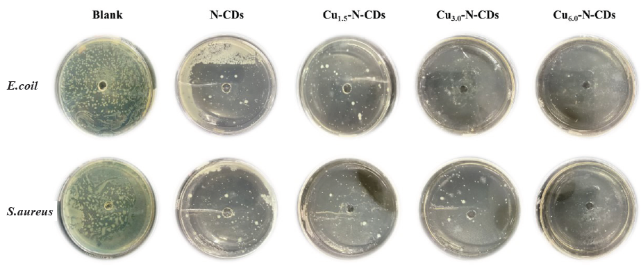 The variations in bacterial distribution after 24 hrs of cultivation with functional inhibitors.