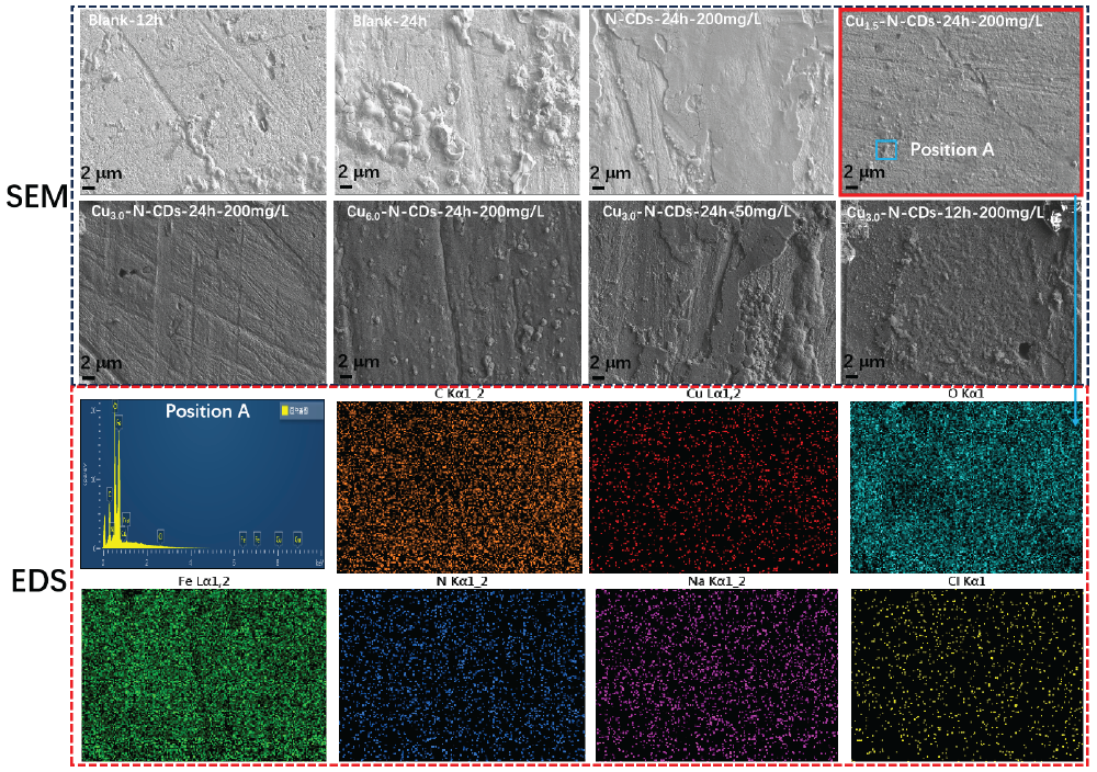 SEM and EDS results after corrosion testing.