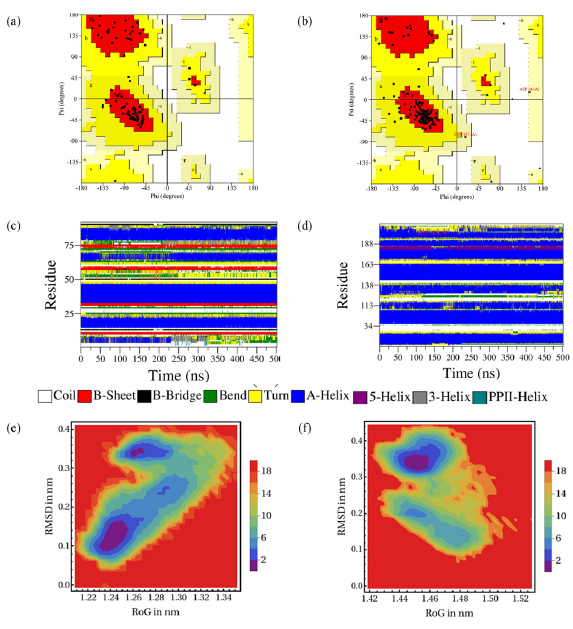 Ramachandran plot (RAM) plots of (a) MDM2 and (b) Bcl-2, and DSSP plots of (c) MDM2 and (d) Bcl-2, and FEL plots of RMSD vs RoG after simulation of (e) MDM2 and (f) Bcl-2 complexed with C4 after MD simulation.