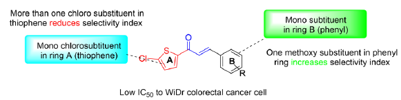 Optimized structures of compounds that potentially show good selectivity.