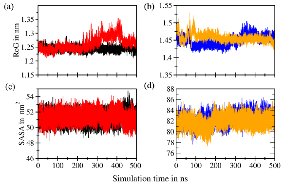 Radius of gyration (RoG) superimposition of the (a) backbones of murine double minute 2 (MDM2) (black) and C4-MDM2 (red) and (b) backbones of B-cell lymphoma 2 (Bcl-2) (blue) and C4-Bcl-2 (orange). Solvent accessible surface area (SASA) superimposition of the (c) backbones of MDM2 (black) and C4-MDM2 (red) and (d) backbones of Bcl-2 (blue) and C4-Bcl-2 (orange).