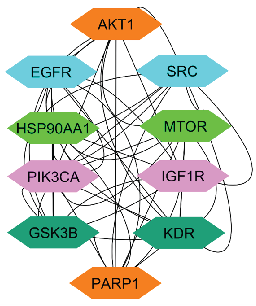 Diagram illustrating the network of the top 10 ranked genes. AKT1: Alpha serine/threonine-protein kinase, SRC: Proto-oncogene tyrosine-protein kinase, EGFR: Epidermal growth factor receptor, MTOR: Mammalian target of rapamycin, HSP90AA1: Heat shock protein 90α, IGF1R: Insulinlike growth factor1 receptor, PIK3CA: phosphatidylinositol-4,5-bisphosphate 3-kinase catalytic subunit alpha, KDR: Kinase insert domain receptor, GSK3B: Glycogen synthase kinase-3 beta, PARP1: Poly (ADP-ribose) polymerase 1.