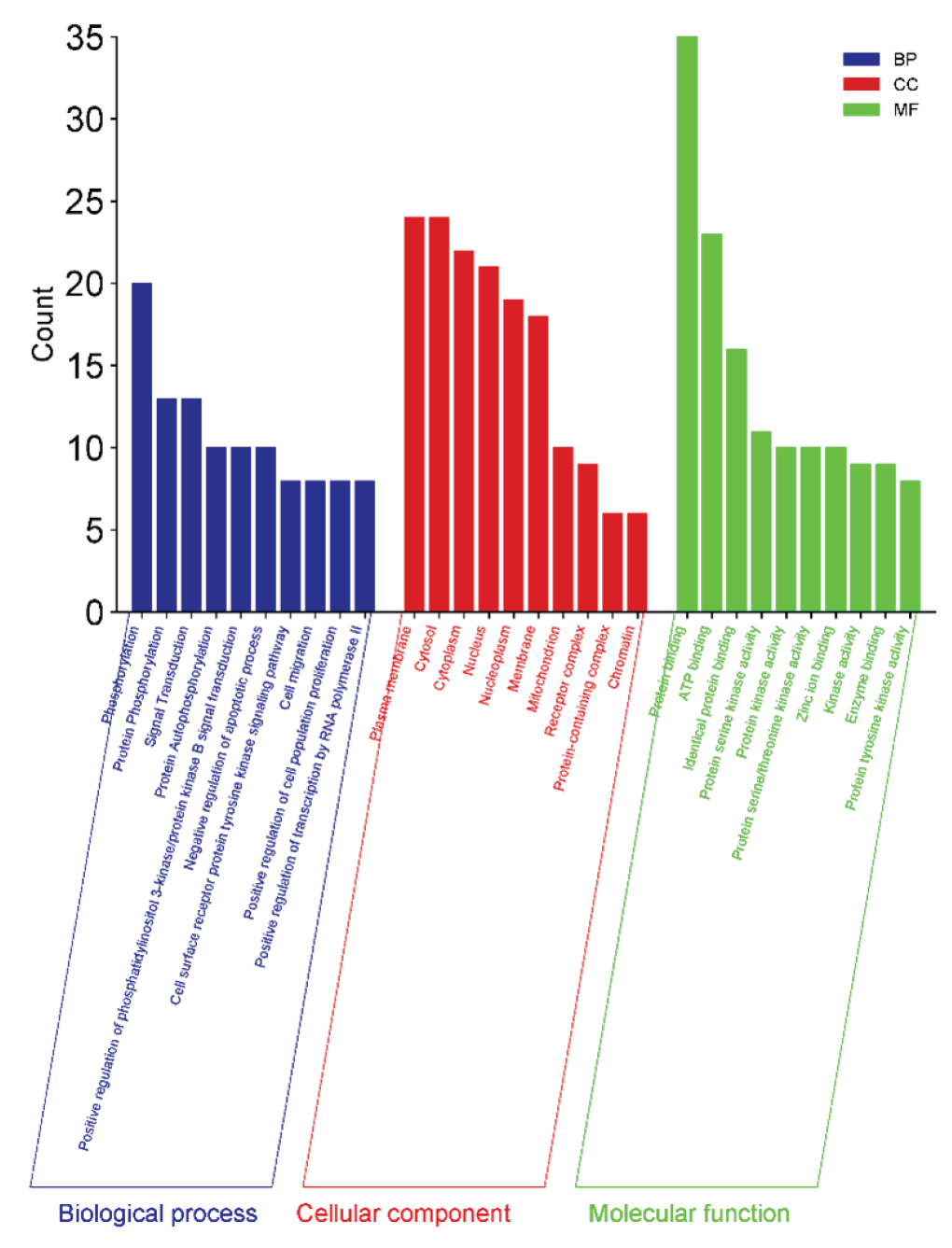 A summary of biological processes (BP) in blue, cellular components (CC) in red, and molecular functions (MF) in green.