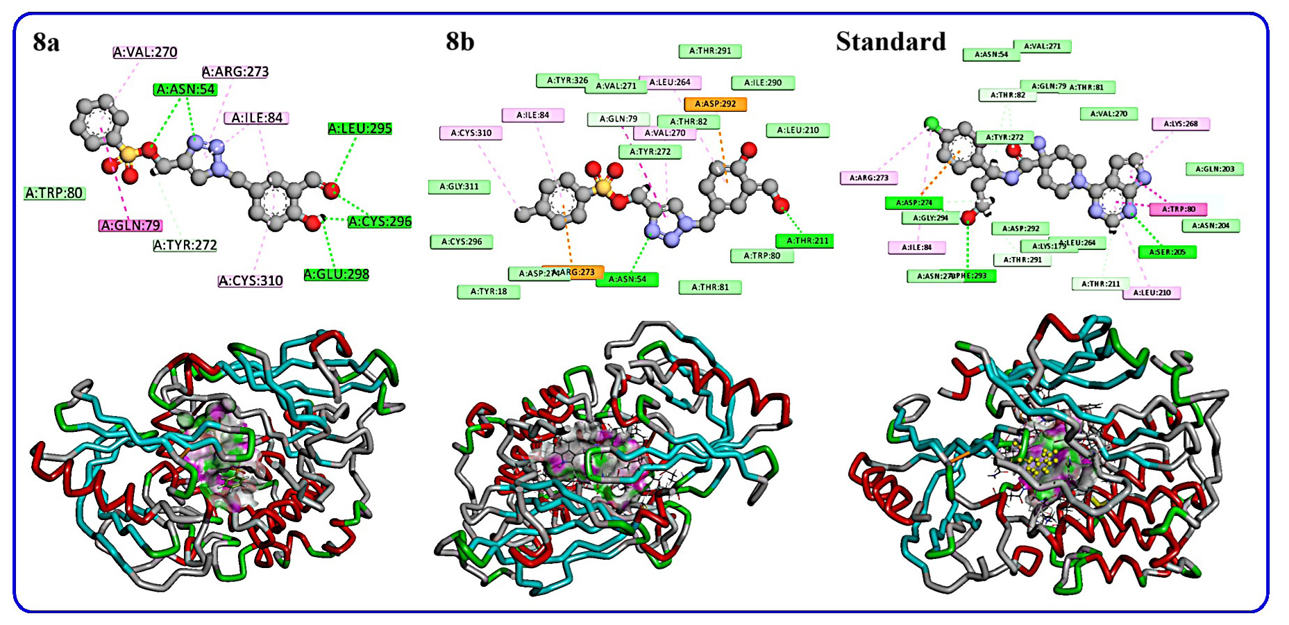 2/3D representations of products 8a-b and standard.