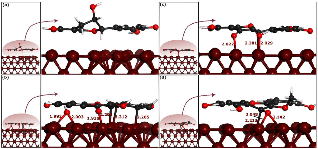 Self-consistent-charge density-functional tight-binding method (SCC-DFTB) optimized parallel adsorption configurations of selected phytochemicals on the Fe(110) surface. (a), (b), (c) and (d) represent CTCH, QRCT, KMFR and QCTO, respectively. The bond distances are measured in angstroms (Å).