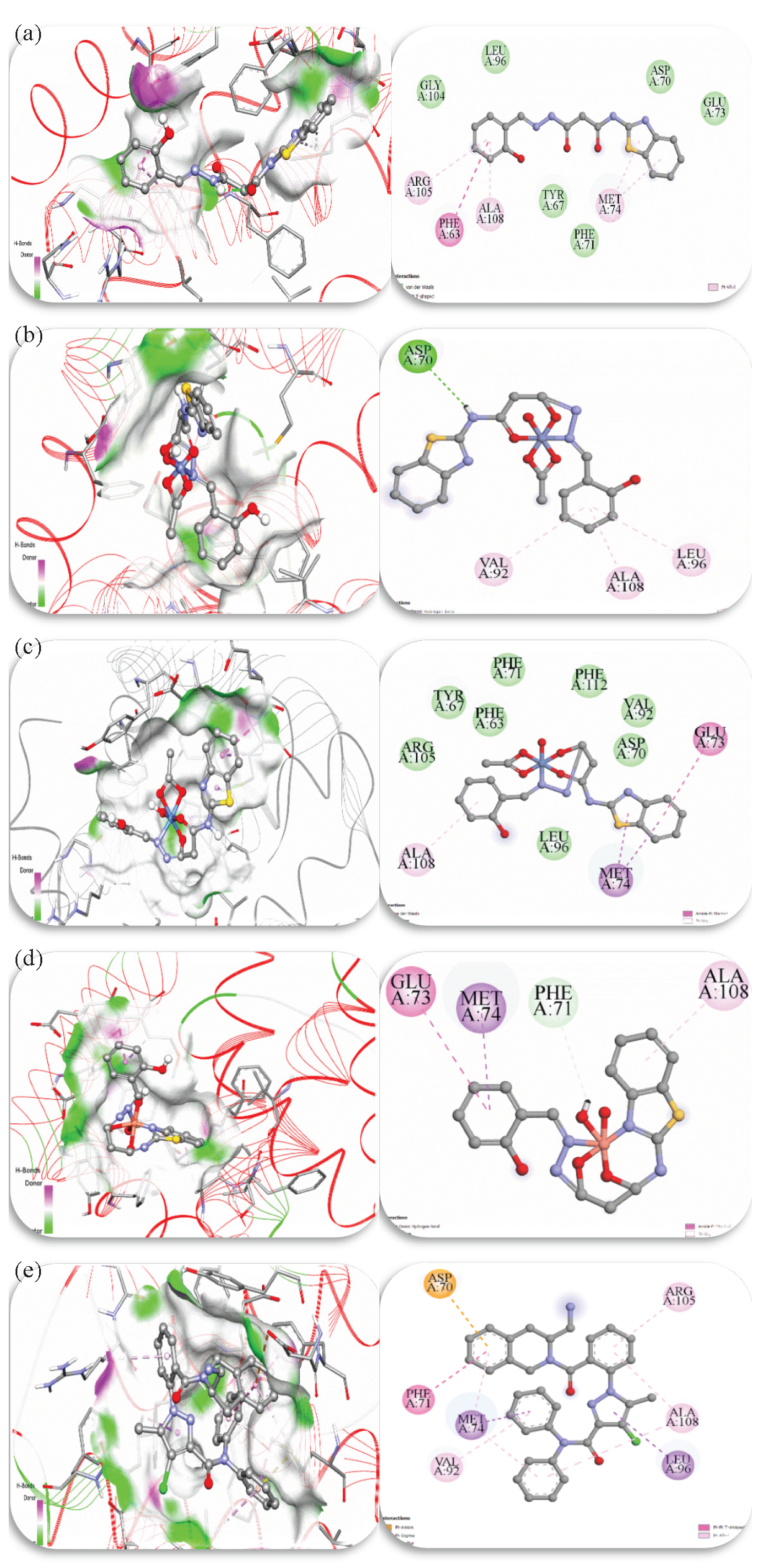 Interactions between the 2w3l target and the (a) H2BT ligand, (b) Co2+ complex, (c) Ni2+ complex, (d) Cu2+ complex, and (e) DRO ligand in two and three dimensions (the acceptor area of the hydrogen bond surface is represented by green, and the donor area of the amino acid residues by pink).