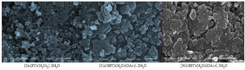 SEM of isolated solid complexes.