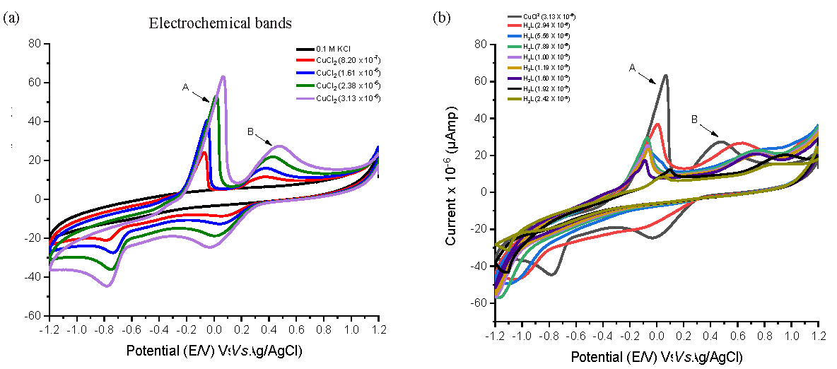 The cyclic voltammogram of CuCl2 in (a) Absenteeism and (b) Existence of varying concentrations of ligand at 291.15 K. Electrochemical bands: A,B