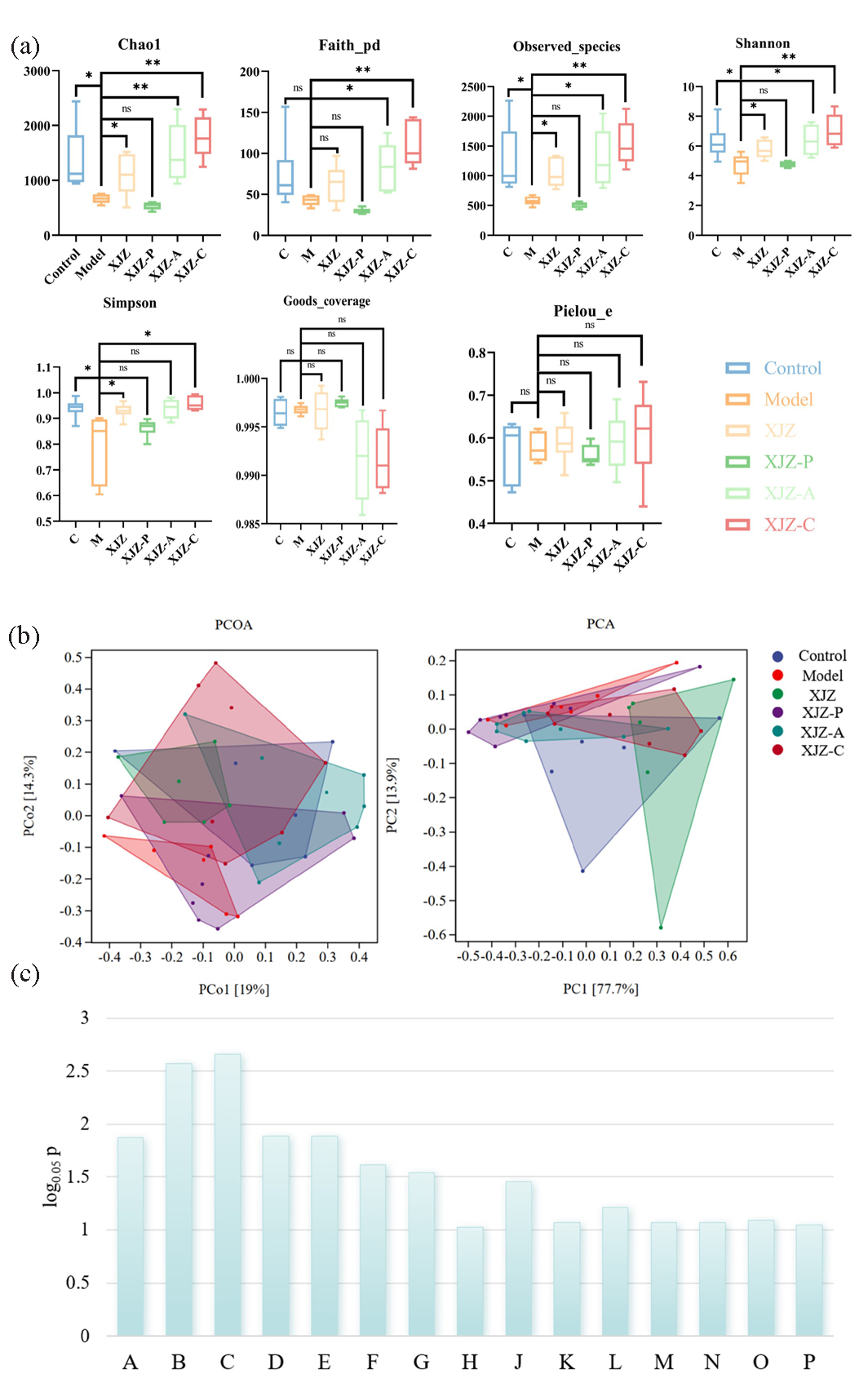 Effect of XJZ and its subtracted formulas on gastric mucosal microbiota. (a) Alpha Diversity. (b) Beta diversity. (c) Analysis of microbial metabolic pathways in the gastric mucosa, metabolic pathways with log0.05 P values greater than 1 were considered statistically significant (A: Sulfur metabolism; B: Glycine, serine and threonine metabolism; C: Valine, leucine, and isoleucine biosynthesis; D: Secondary bile acid biosynthesis; E: Primary bile acid biosynthesis; F: Vitamin B6 metabolism; G: Nucleotide excision repair; H: Glycerophospholipid metabolism; J: Insulin signaling pathway; K: Pantothenate and CoA biosynthesis; L: Galactose metabolism; M: Pyrimidine metabolism; N: Glyoxylate and dicarboxylate metabolism; O: Peptidoglycan biosynthesis; P: D-Alanine metabolism) (Compared with model group, * p < 0.05, ** p < 0.01, *** p < 0.001, n=6).