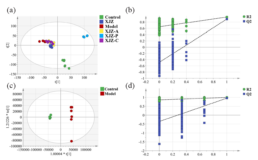 Metabolomics analysis of gastric tissue. (a) PLS-DA of gastric tissue metabolomics. (b) Permutation test result of PLS-DA. (c) OPLS-DA of gastric tissue metabolomics (d) Permutation test result of OPLS-DA.