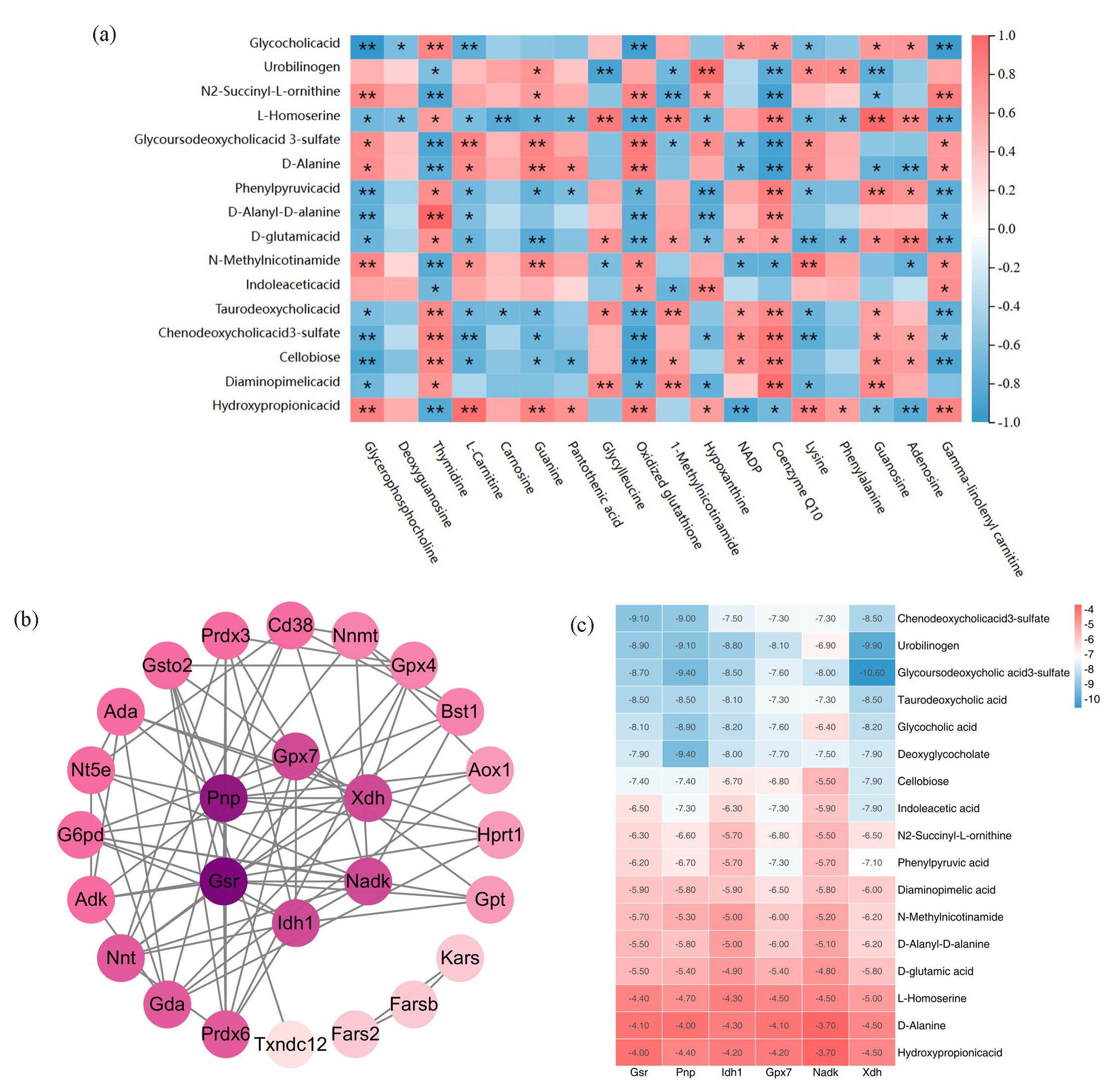 ”Microbiota-mitochondria” cross-talk. (a) Correlation heat map of gastric tissue metabolites-mitochondrial metabolites. (b) PPI network diagram of mitochondria, the larger the degree, the darker the color. (c) Heat map of molecular docking scores.