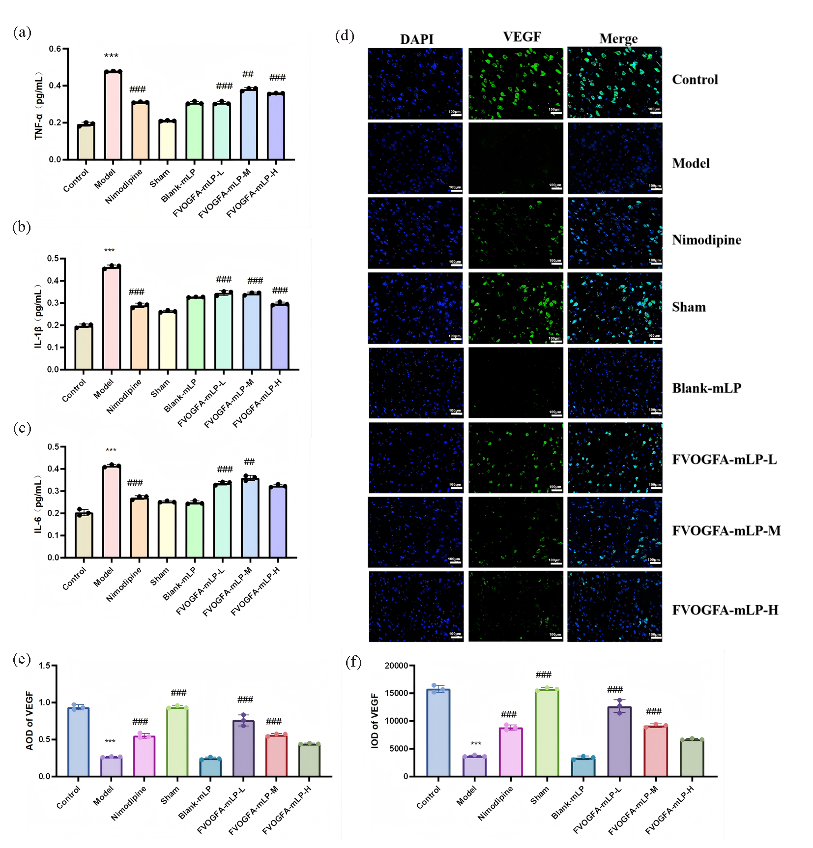 (a-c) The inflammatory cytokines expression and statistics of IL-1β, IL-6, and TNF-α in the ischemic cerebral cortex of different groups (n = 3). (d) The immunofluorescence staining of VEGF in ischemic cerebral cortex (scale bar = 100 µm), green dye is VEGF, blue is DAPI. (e-f) The expression results of VEGF in different groups. Compared with the control group: *p < 0.05, **p < 0.01, ***p < 0.001. Compared with the model group: #p < 0.05, ##p < 0.01, ###p < 0.001.