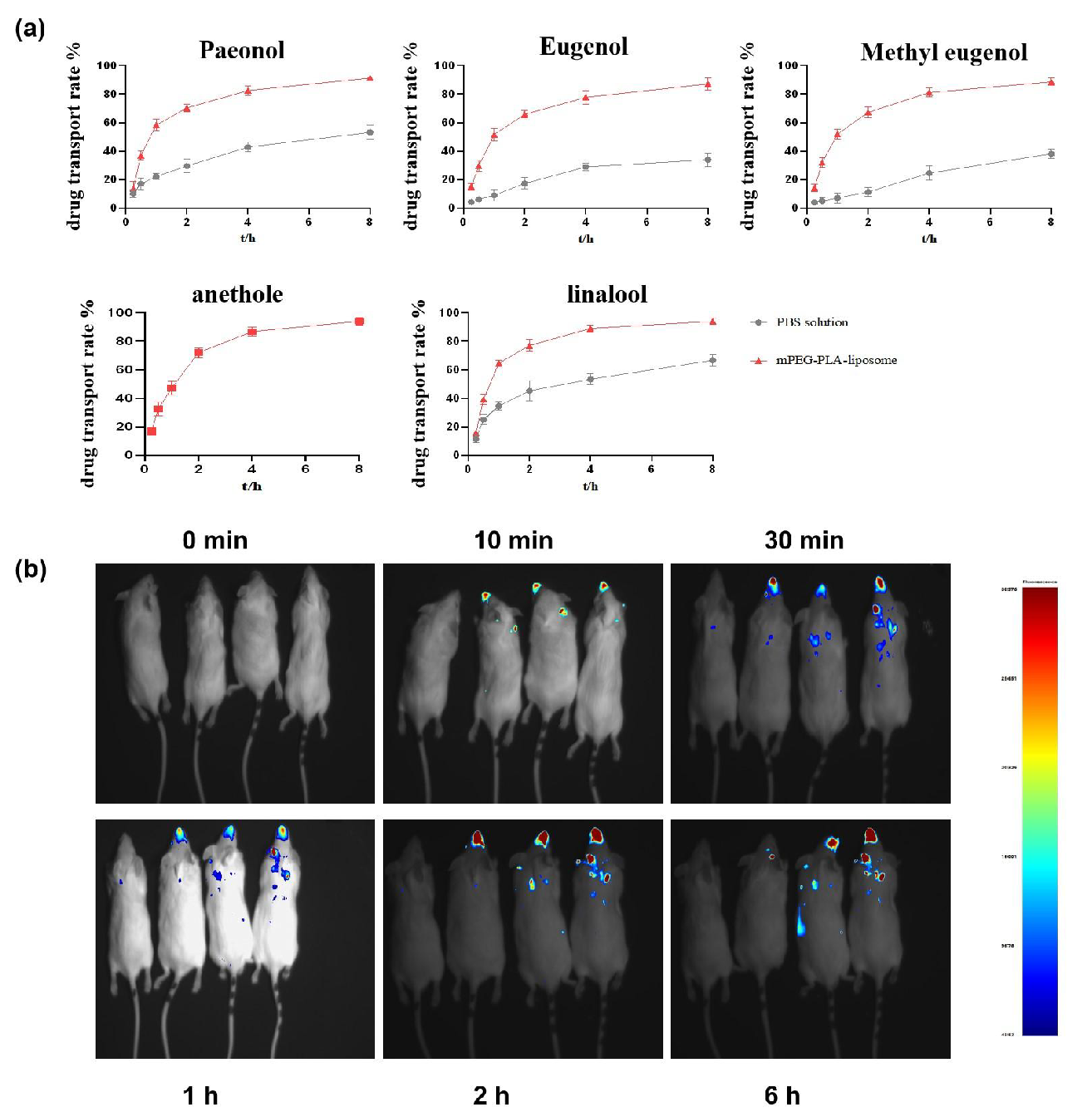 The results of mPEG-PLA-modified nanoliposomes enhance FVOGFA brain-targeting and BBB translocation in both (a) in vitro and (b) in vivo experiments.