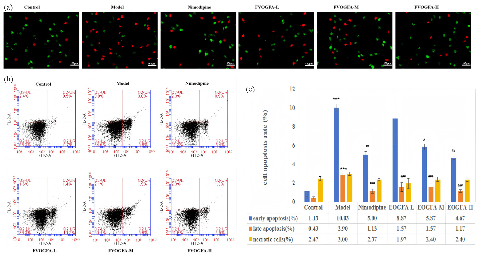 (a) Impact of FVOGFA on apoptosis of PC12 cells subjected to OGD/R treatment (scale bar = 100 µm), (b) flow cytometry instrument to detect early, late and necrosis rate of PC12 cells, (c) the results of apoptosis of PC12 cell in each group. Compared with the control group: *p < 0.05, **p < 0.01, ***p < 0.001. Compared with the model group: #p < 0.05, ##p < 0.01, ###p < 0.001.
