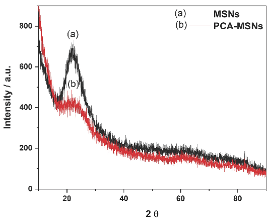 X-Ray Diffraction patterns of plain (a) MSNs and (b) PCA-MSNs.