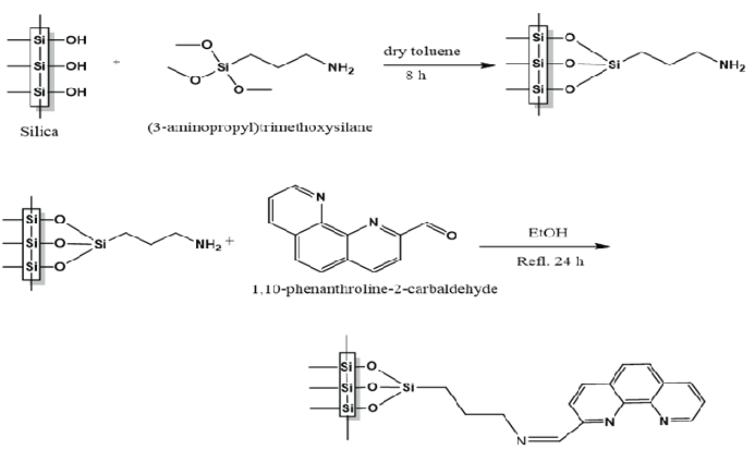 Reaction scheme for the covalent attachment of PCA onto mesoporous silica nanoparticles area.