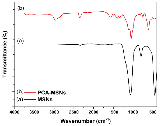 FTIR spectra of MSNs and PCA-MSNs.