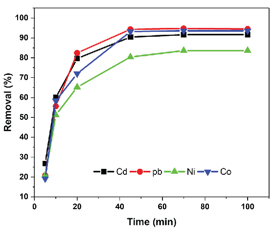 Adsorption efficiency of the metal ion onto PCA-MSNs at different initial metal ion concentrations.