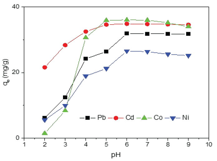 pH dependent on the metal ion adsorptions onto PCA-MSNs.