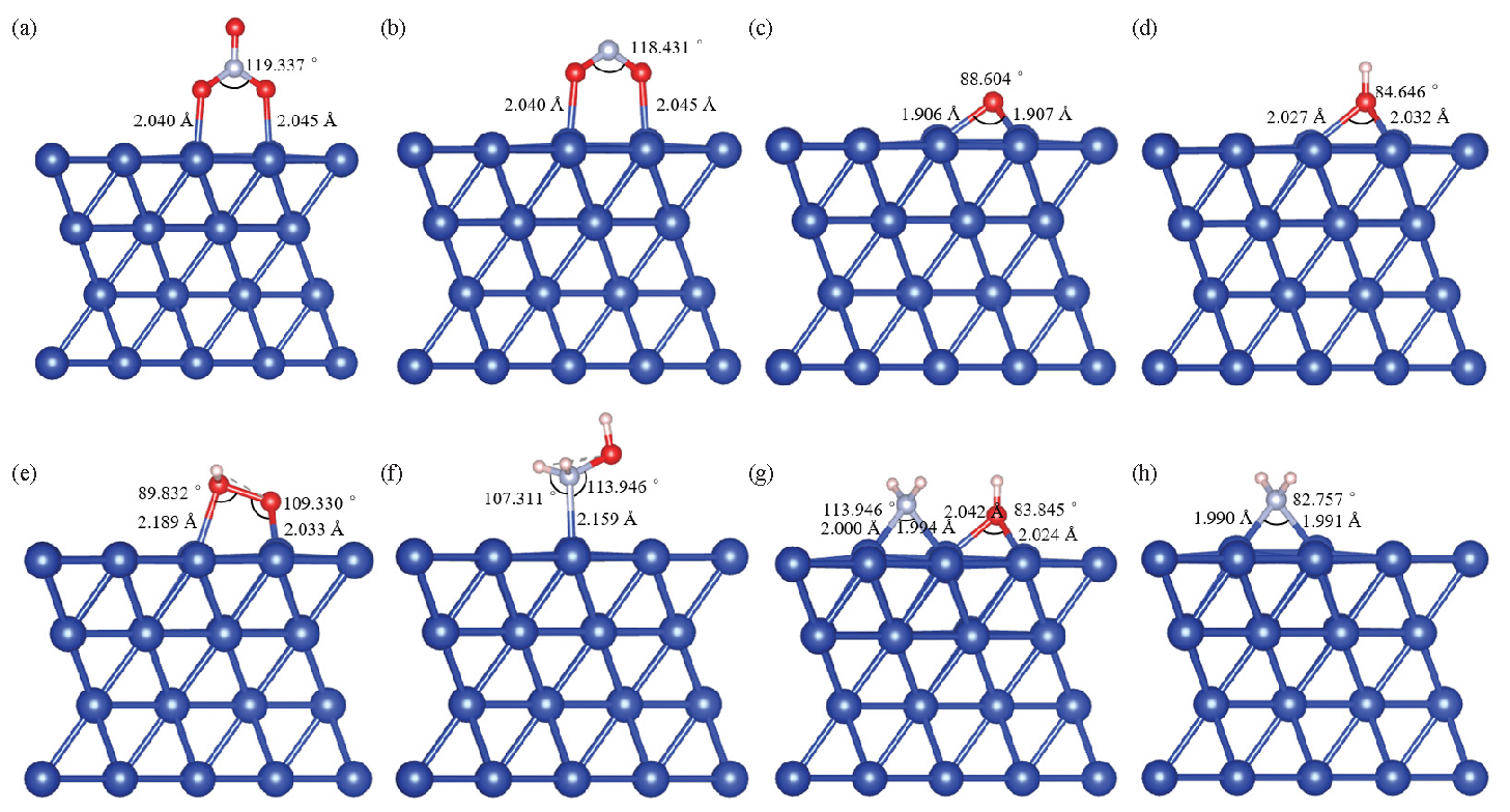 Configurations of the adsorbed molecules involved in electrocatalytic decomposition: (a) *NO3; (b) *NO2; (c) *·O; (d) *·OH; (e) *·OOH; (f) *NH2OH; (g) *(·NH2 + ·OH); (h) *·NH2.