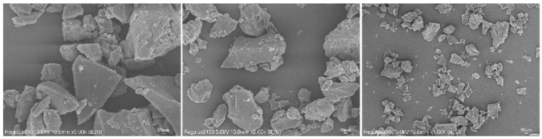 Scanning electron microscopy of the coal particle.