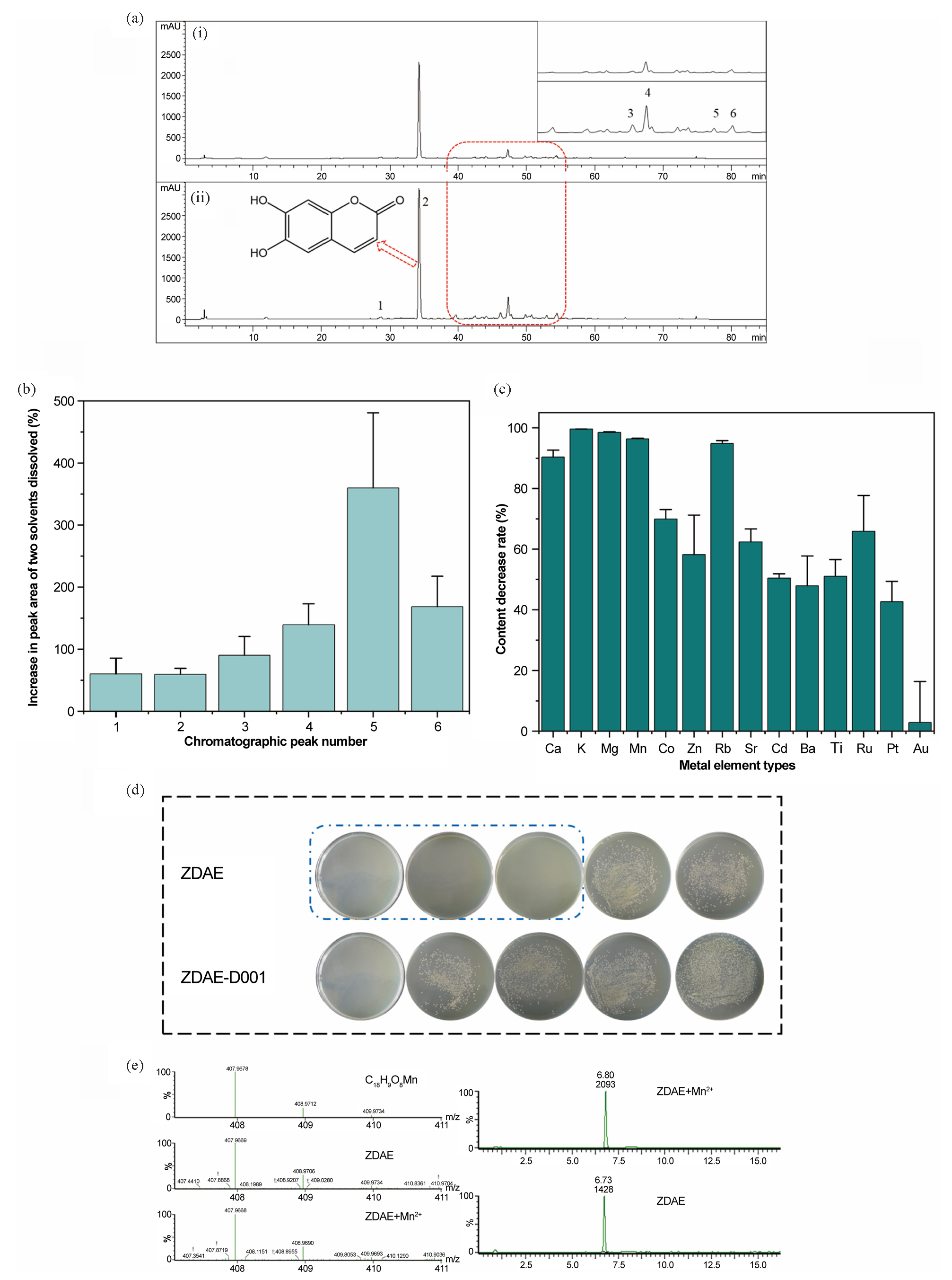 Antibacterial metal complexes in ZDAE. (a) HPLC chromatograms of organic content of dried ZDAE samples dissolved in different solvents (327 nm) - (i) organic content of samples dissolved in methanol and (ii) organic content of samples dissolved in 15% methanol acetic acid. (b) Changes in organic content of ZDAE dissolved in methanol and 15% formic acid methanol. (c) Decline in metal element content in ZDAE after treatment with D001 resin. (d) During the D001 cation exchange resin treatment, the antibacterial activity of ZDAE decreased (from left to right, final concentrations of ZDAE are 100, 50, 25, 12.5, and 6.25 mg/mL). (e) Ultra-performance liquid chromatography quadrupole time-of-flight mass spectrometer (UPLC-Q-TOF MS) results of the C18H10O8Mn complex in ZDAE.