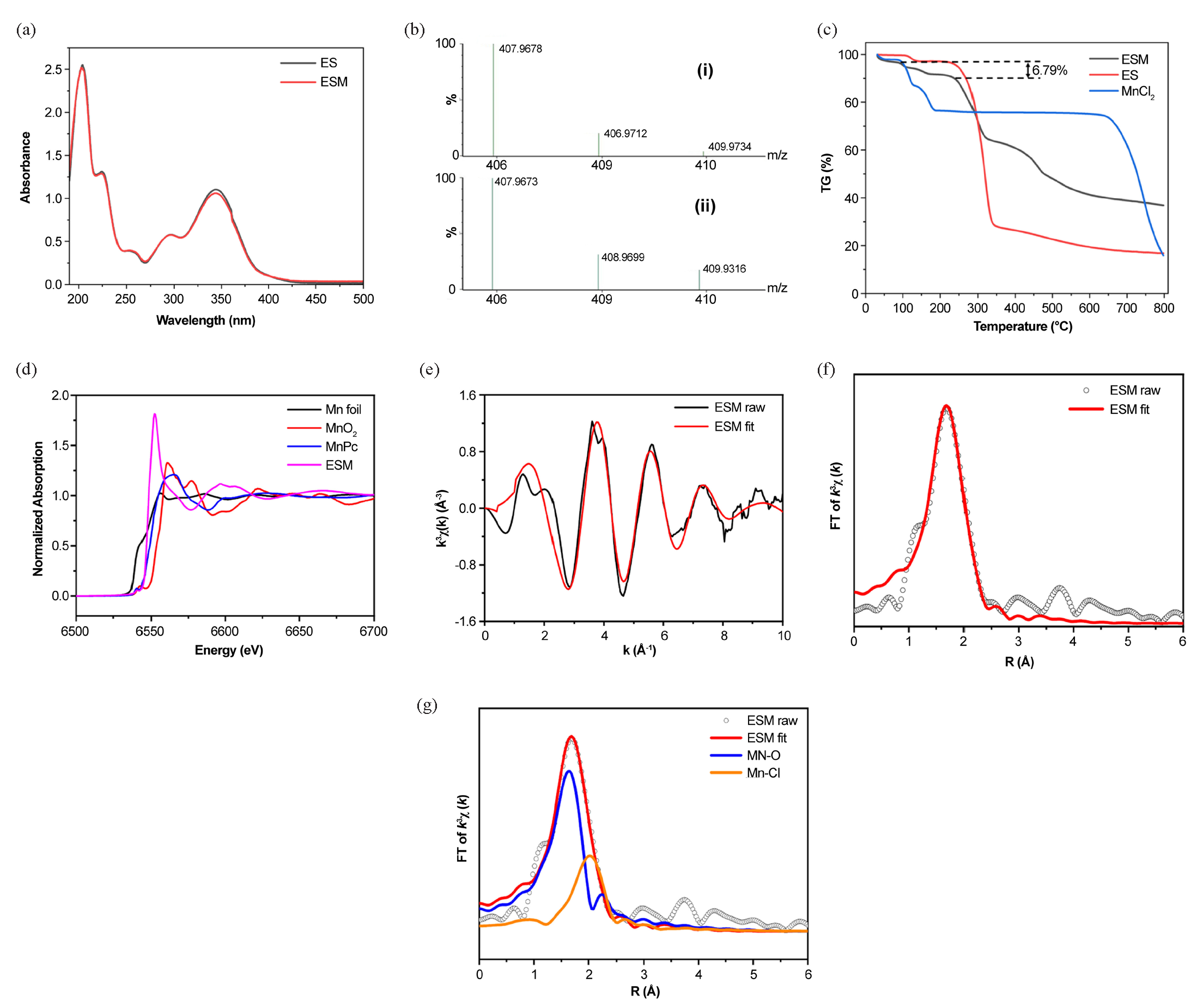 Structural characterization of ESM. (a) UV-visible absorption spectra of ES and ESM in water. (b) Theoretical (i) and experimental (ii) isotope distributions of C18H9O8Mn. (c) Thermogravimetric curves of ES, ESM, and MnCl2. (d) EXAFS spectra of ESM, MnO2, MnPc, and Mn foil. (e) K-space fitting of ESM. (f) R-space fitting of ESM. (g) Coordination bonds of Mn in ESM.