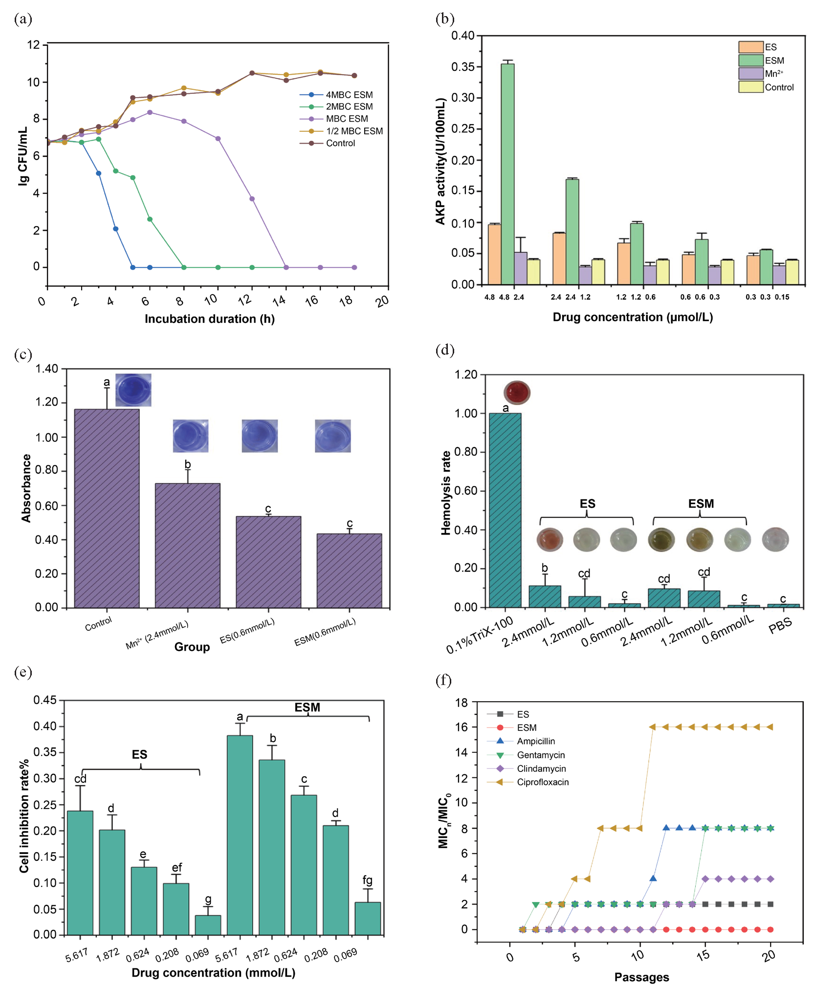 Results of antibacterial activity test for ESM. (a) Bactericidal kinetics of ESM against S. aureus (with an MBC at 1.20 mmol/L); (b) AKP activity in the culture medium after treatment with ES and ESM; (c) Inhibitory effects of ES and ESM on the formation of S. aureus biofilm. Note: The concentration of ESM, ES, and Mn2+ is 0.60 mmol/L, 0.60 mmol/L, and 2.40 mmol/L, respectively; (d). Hemolytic effects of ES and ESM on rabbit erythrocytes; (e) Inhibitory effects of ES and ESM on the proliferation of L-O2 cells; (f) S. aureus resistance to ES, ESM, and four antibiotics (In the data analysis of this article, the abc non-parametric annotation method is used to analyze the differences between multiple sample groups through multiple comparisons using ANOVA (analysis of variance). Each group is assigned a letter marker (e.g., a, b, c, d). If the mean difference between the two groups is significant, their labeling will be different. If there is no significant difference, their labels are the same.) (AKP: Alkaline phosphatase; ES: Esculetin; ESM: Esculetin-manganese complex.)
