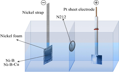 The schematic diagram of single cell assembly.