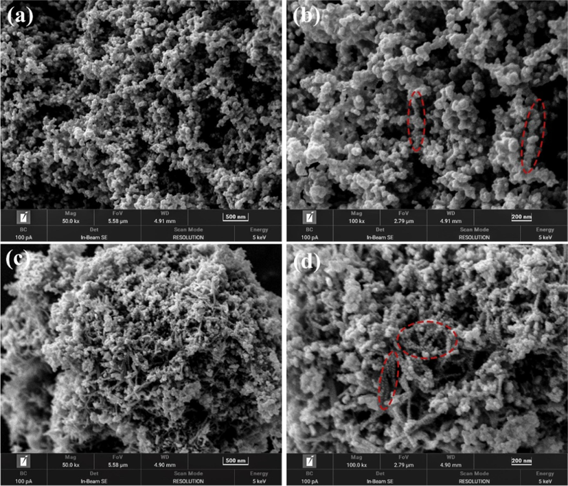 SEM images of the catalysts with different magnification: (a, b) S3; (c, d) Cu0.10.