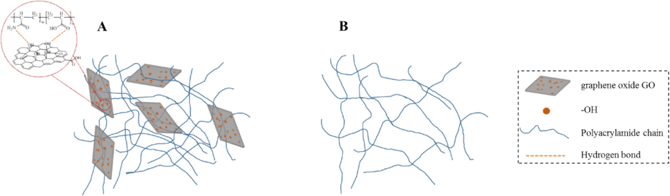 Network structures of DRGO and DR900 (A is the mixture of Nano-GO and DR900, B is DR900).