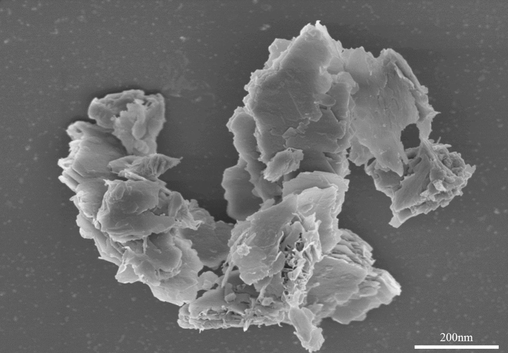 SEM image of Nano-GO prepared in the laboratory.