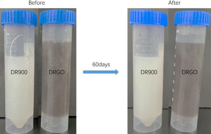 Stability evaluation of DR900 and DRGO.