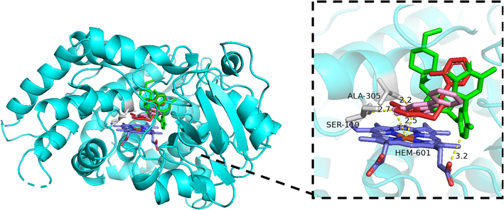 Stereo views of molecular docking results of CYP3A4 with abemaciclib and baicalein. The structures of abemaciclib, baicalein and the reference ligand are shown in green, pink, and red respectively, and the amino acid residues interacting with them are shown in gray. Hydrogen bonds are indicated by yellow dash lines.
